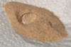 Sand with water unable to wet it.