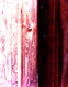 Two wood panels- one with KISS-COTE and one without